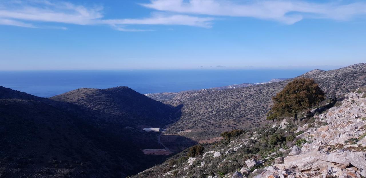 Double Bee Villa With Private Pool Agios Konstantinos  Luaran gambar